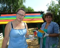 �����������